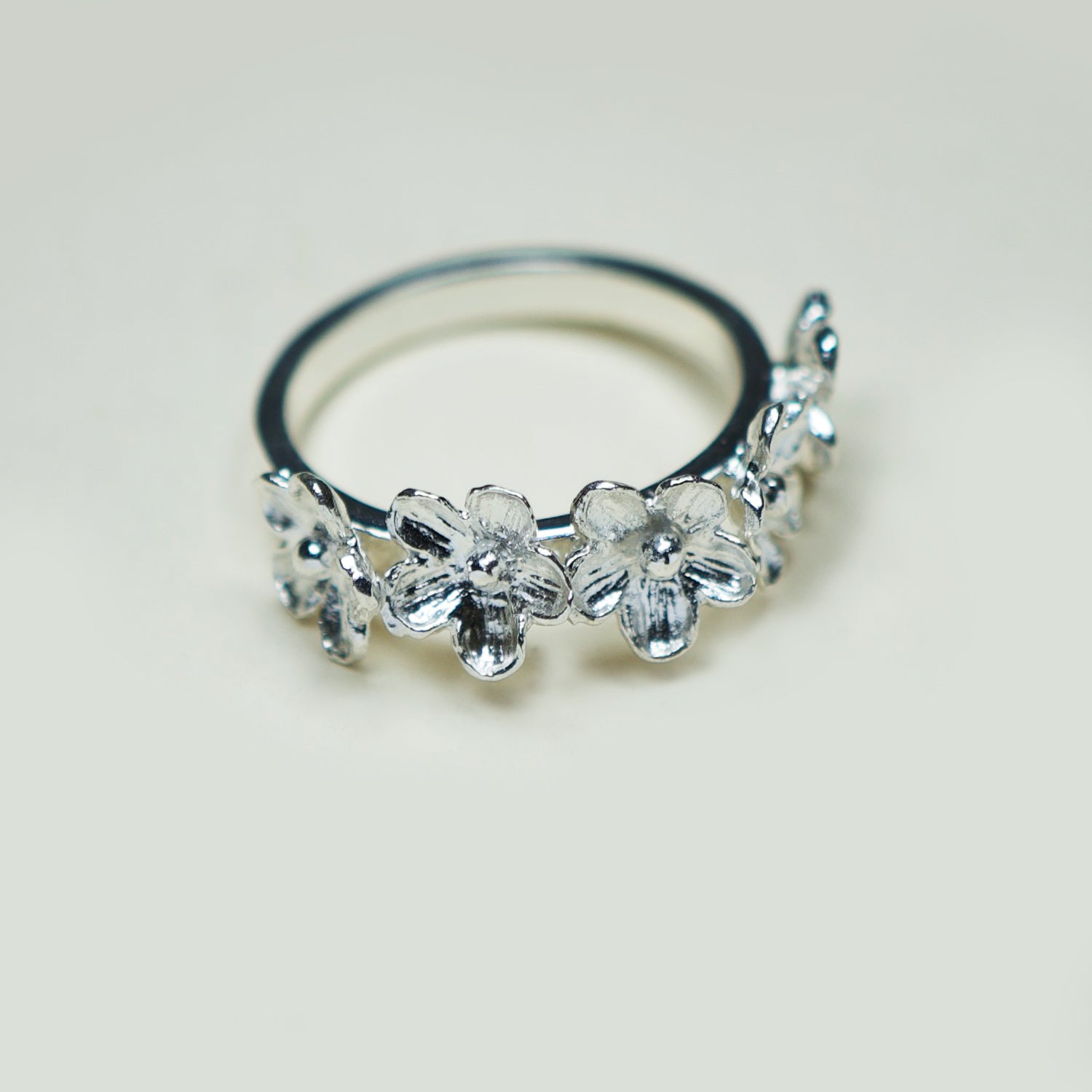 Anillos