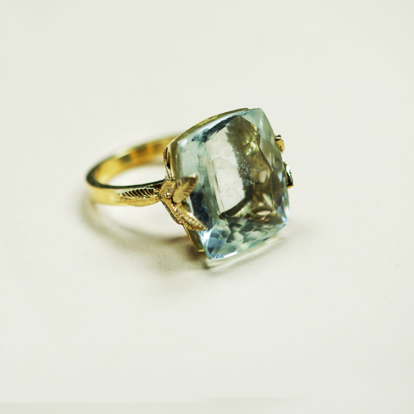 Anillo Leoine