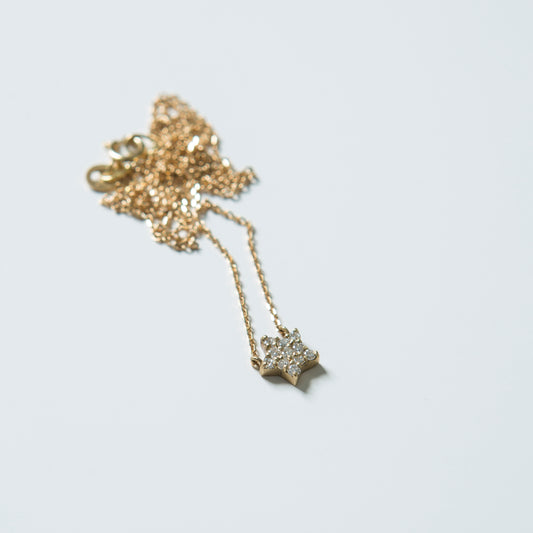 Collar Acancthe